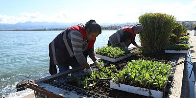 KENDİ KENDİNE YETEN ŞEHİR: ORDU 