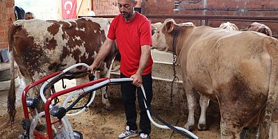 SÜTÜN DEĞERİ ARTIYOR, ÜRETİCİNİN YÜZÜ GÜLÜYOR 