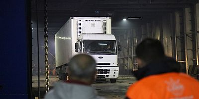 ÜNYE LİMANI DÜNYAYA AÇILDI