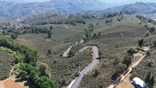 ULUBEY ŞEYHLER’E SICAK ASFALT