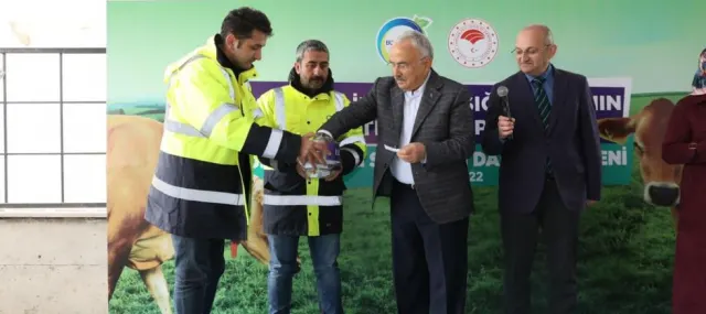 ORDU’DA ÇİFTÇİLERE 300 ADET JERSEY IRKI İNEK DAĞITILDI