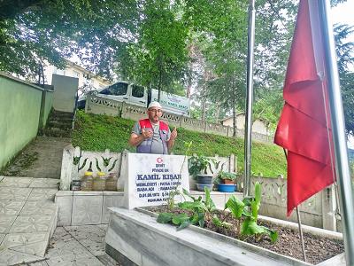 media-libraryPZFwlv