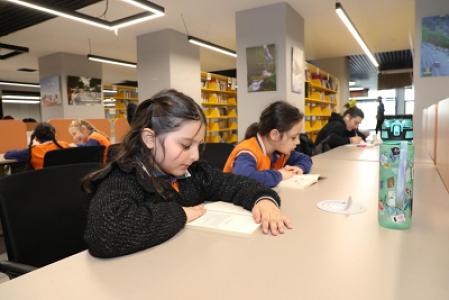 media-libraryvSMLoa