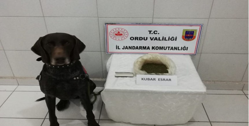 125 GRAM KUBAR ESRAR ELE GEÇİRİLDİ