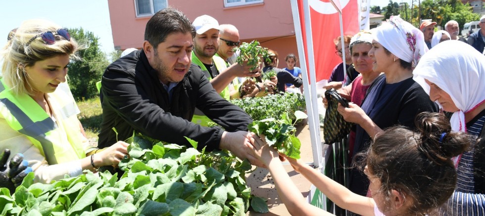 72 MAHALLEDE 200 BİN FİDE’Yİ TOPRAKLA BULUŞTURDU
