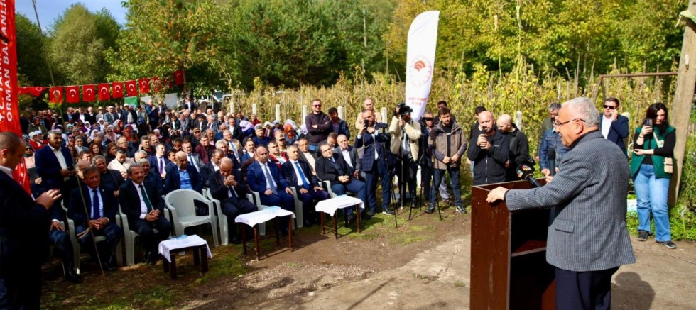 AKKUŞ FASULYESİNDE HASAT ZAMANI