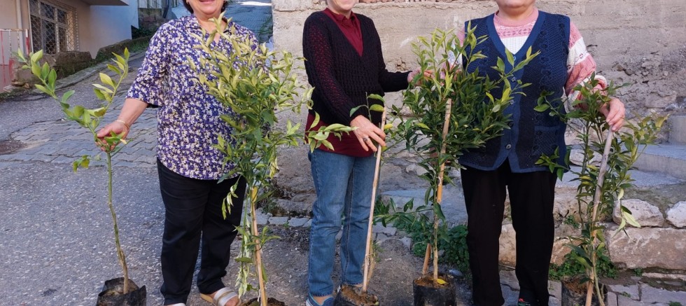 ALTINORDU BELEDİYESİ 341 BİN FİDANI TOPRAKLA BULUŞTURDU