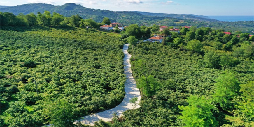 ALTINORDU BELEDİYESİ ÜÇ MAHALLEDE DAHA BETON YOL ÇALIŞMASINI TAMAMLADI
