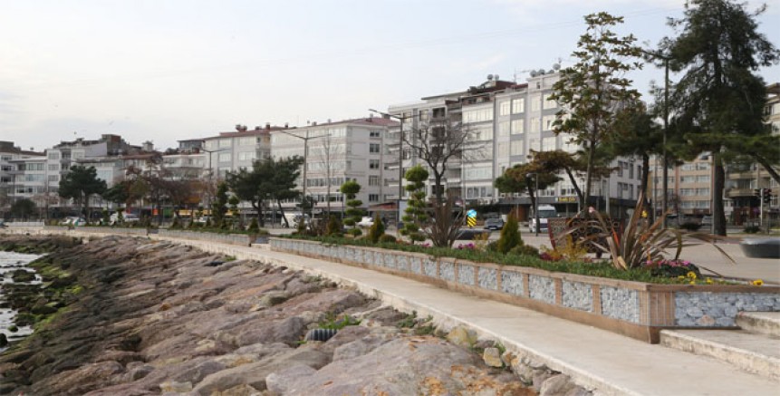 ALTINORDU SAHİLİ YEŞİLLENDİ