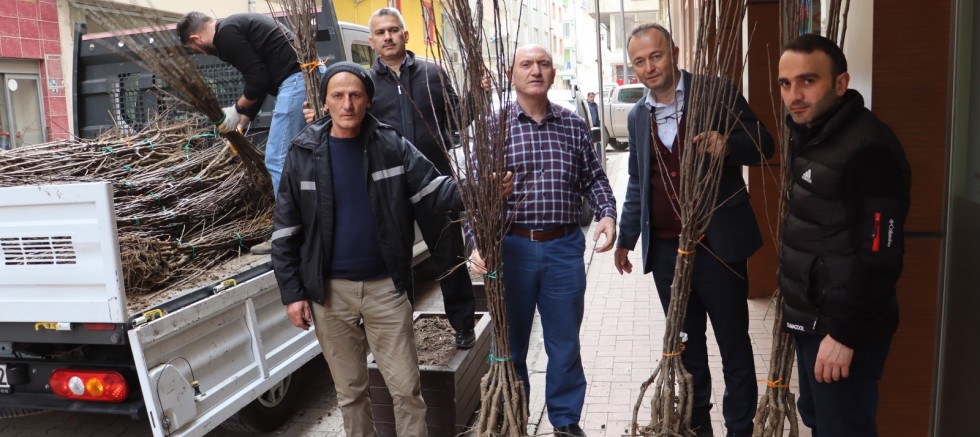 BAŞKAN GÜLER’İN TARIM PROJELERİ HIZ KESMİYOR