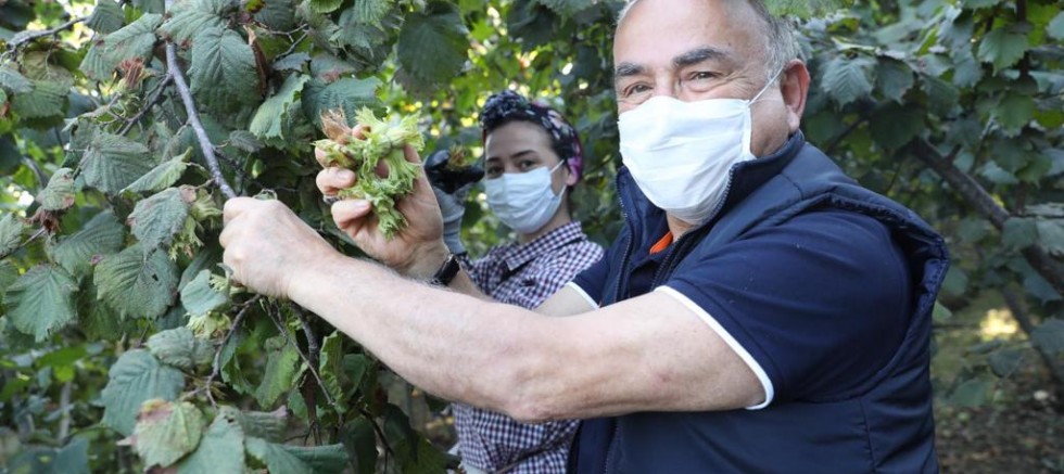 BAŞKAN GÜLER’İN TMO ZAFERİ