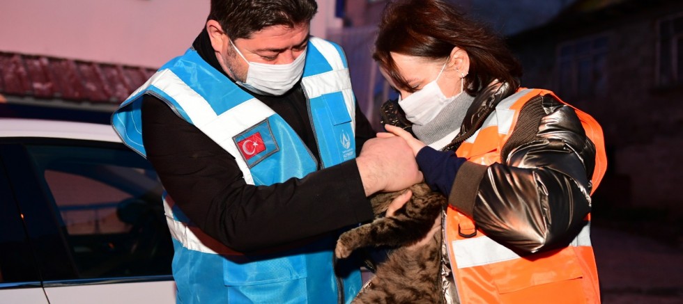 BAŞKAN TÖREN: 