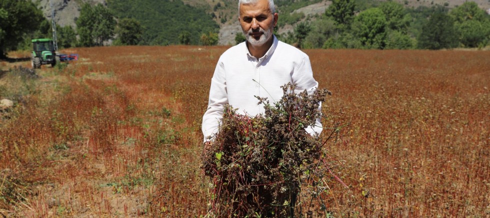 BOŞ DURUYORDU ŞİMDİ BEREKET FIŞKIRIYOR