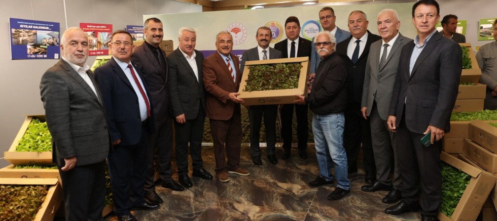 BÜYÜKŞEHİR, 600 BİN ÜCRETSİZ FİDE DAĞITTI