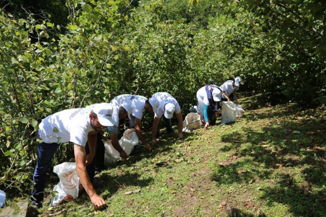 BÜYÜKŞEHİRDEN FINDIK SEZONUNU RAHATLATAN ÇALIŞMA 