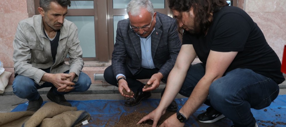 FINDIK KAPSÜLÜ SAMANDAN DAHA VERİMLİ ÇIKTI