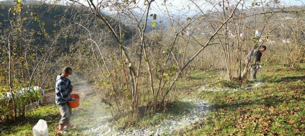 FINDIK ÜRETİCİSİ BU PROJEYİ SEVDİ