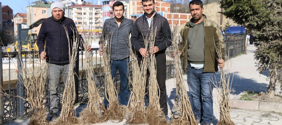 İPEK BÖCEKÇİLİĞİ YAYGINLAŞIYOR