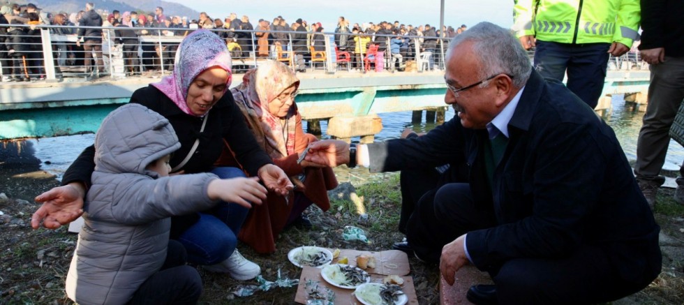 İSKELE ÜSTÜNDE 10 TONA YAKIN HAMSİ PİŞTİ