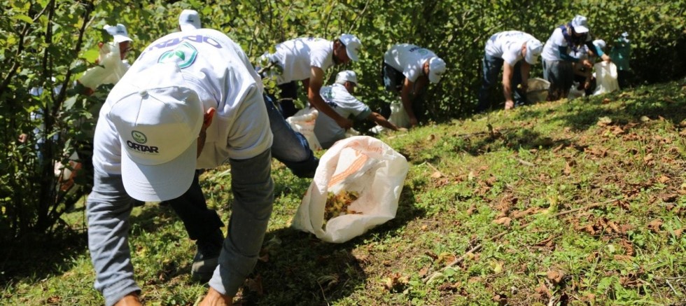 O PROJEDE BAŞVURULAR BAŞLIYOR