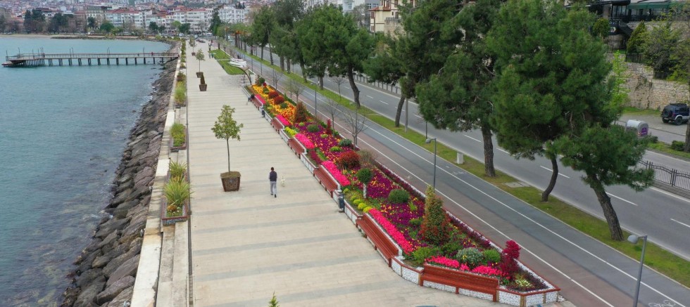 ORDU’DA 7 MİLYONA YAKIN AĞAÇ, FİDAN VE ÇİÇEK DİKİLDİ 