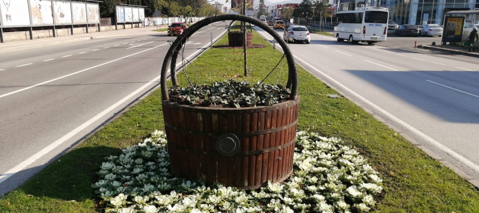 ORDU’DA KIŞ ÇİÇEKLERİ AÇACAK 