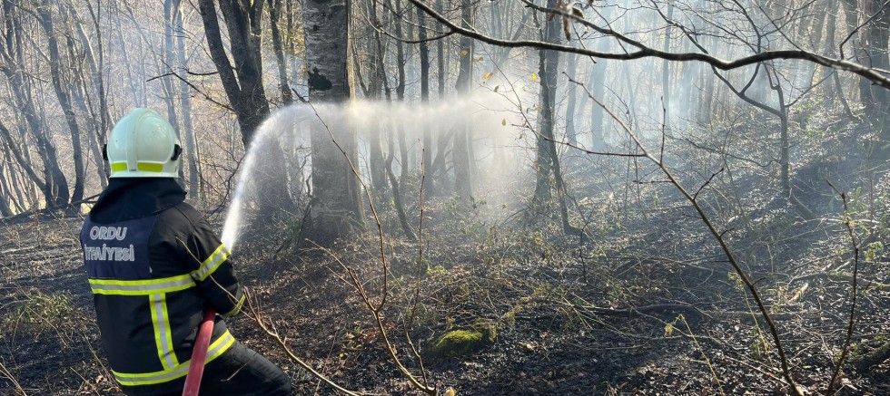 ORDU’DA SON BİR HAFTADA 40 YANGIN