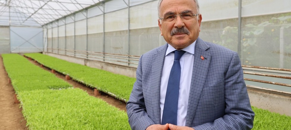 ORDU’NUN FİDELERİ BU SERALARDA ÜRETİLİYOR