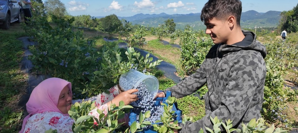 ORDU’NUN TOPRAKLARINDAN BEREKET FIŞKIRIYOR