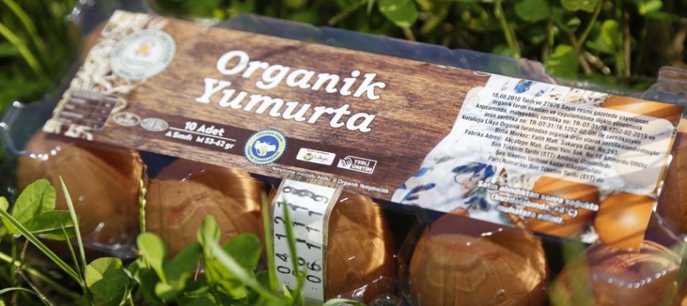 ORDU YUMURTA ÜRETİMİNİN BAŞKENTİ OLUYOR
