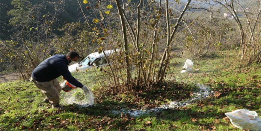 ORTAR, KİRALADIĞI BAHÇELERDE KİREÇ UYGULAMASI YAPIYOR