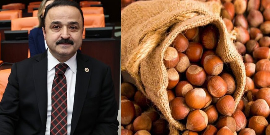 ŞANLITÜRK: ÜRETİCİ FINDIĞA SAHİP ÇIKSIN!