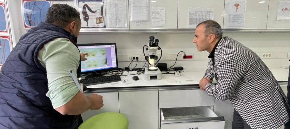 SERALARIN DOĞAL İŞÇİSİ BOMBUS ARISI, ORDU’DA ÜRETİLİYOR