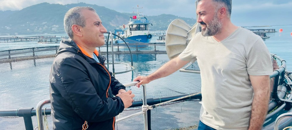 VALİ SONEL, TÜRK SOMONU HASADI YAPILAN İŞLETMELERİ ZİYARET ETTİ